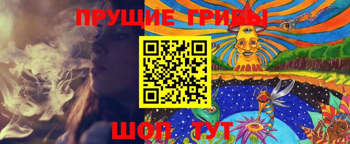 Подольск  Псилоцибиновые грибы Magic Shrooms  Вход с VPN  как найти   Псилоцибиновые грибы Magic Shrooms 